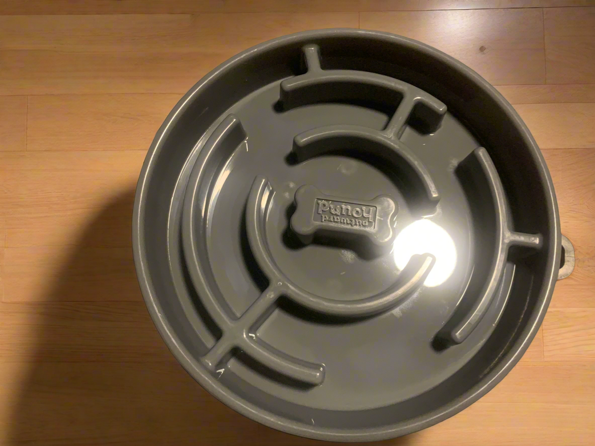 Slow Feeder Dog Bowl | Raptor Brand Store