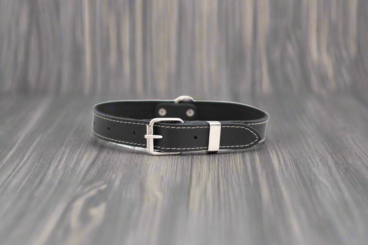 Leather Dog Collar | Raptor Brand Store