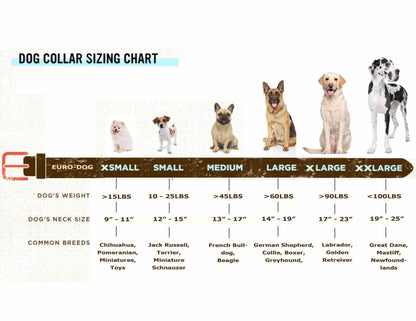 Leather Dog Collar | Raptor Brand Store