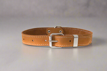 Leather Dog Collar | Raptor Brand Store