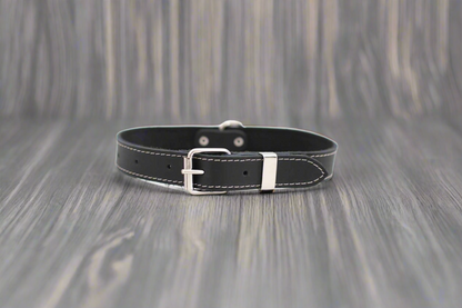 Leather Dog Collar | Raptor Brand Store