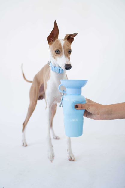 Dog Travel Water Bottle | Raptor Brand Store