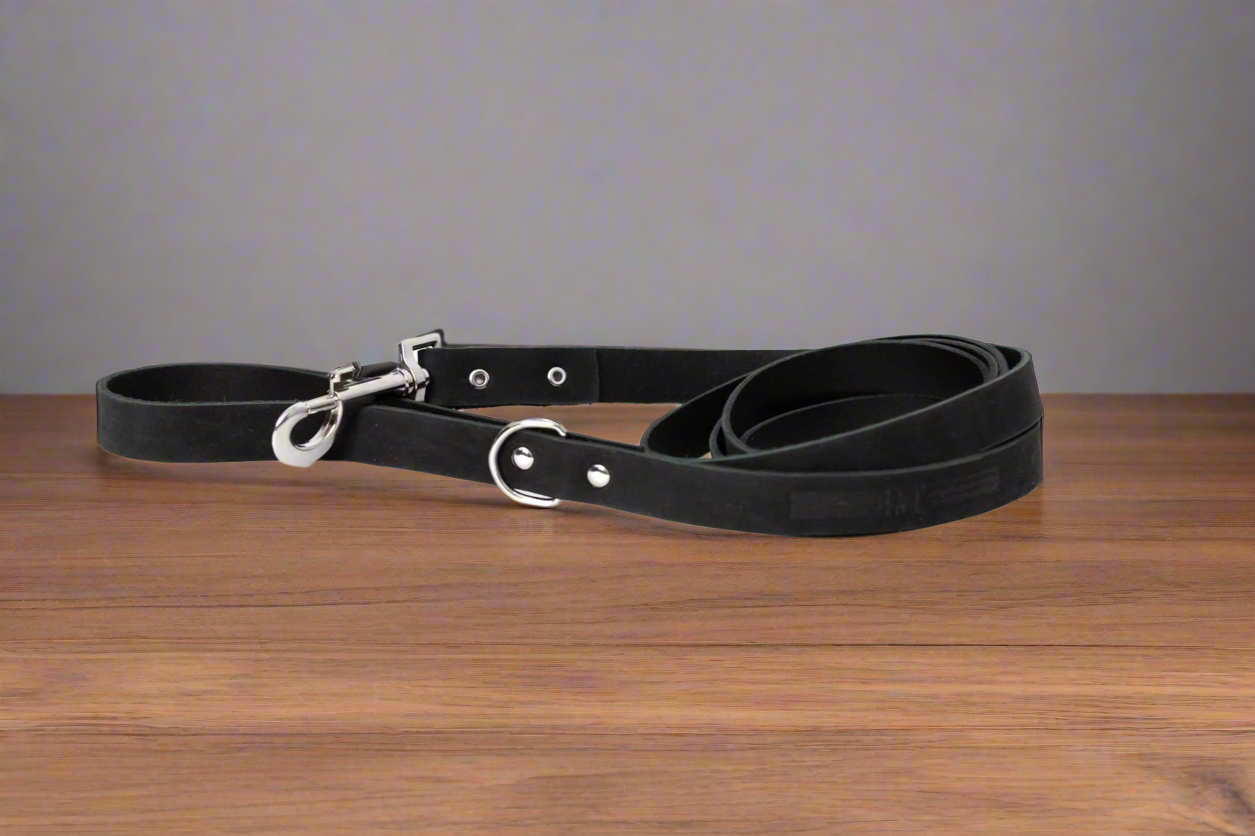 Leather Dog Leash | Raptor Brand Store