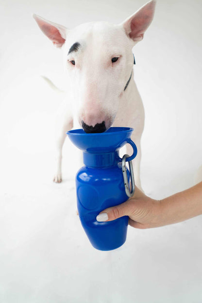 Dog Travel Water Bottle | Raptor Brand Store