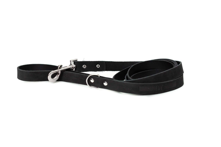 Euro-Dog Collars and Leads hanging on a rack in a pet boutique