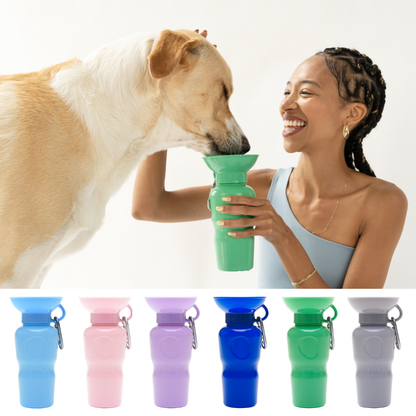 Dog Travel Water Bottle | Raptor Brand Store